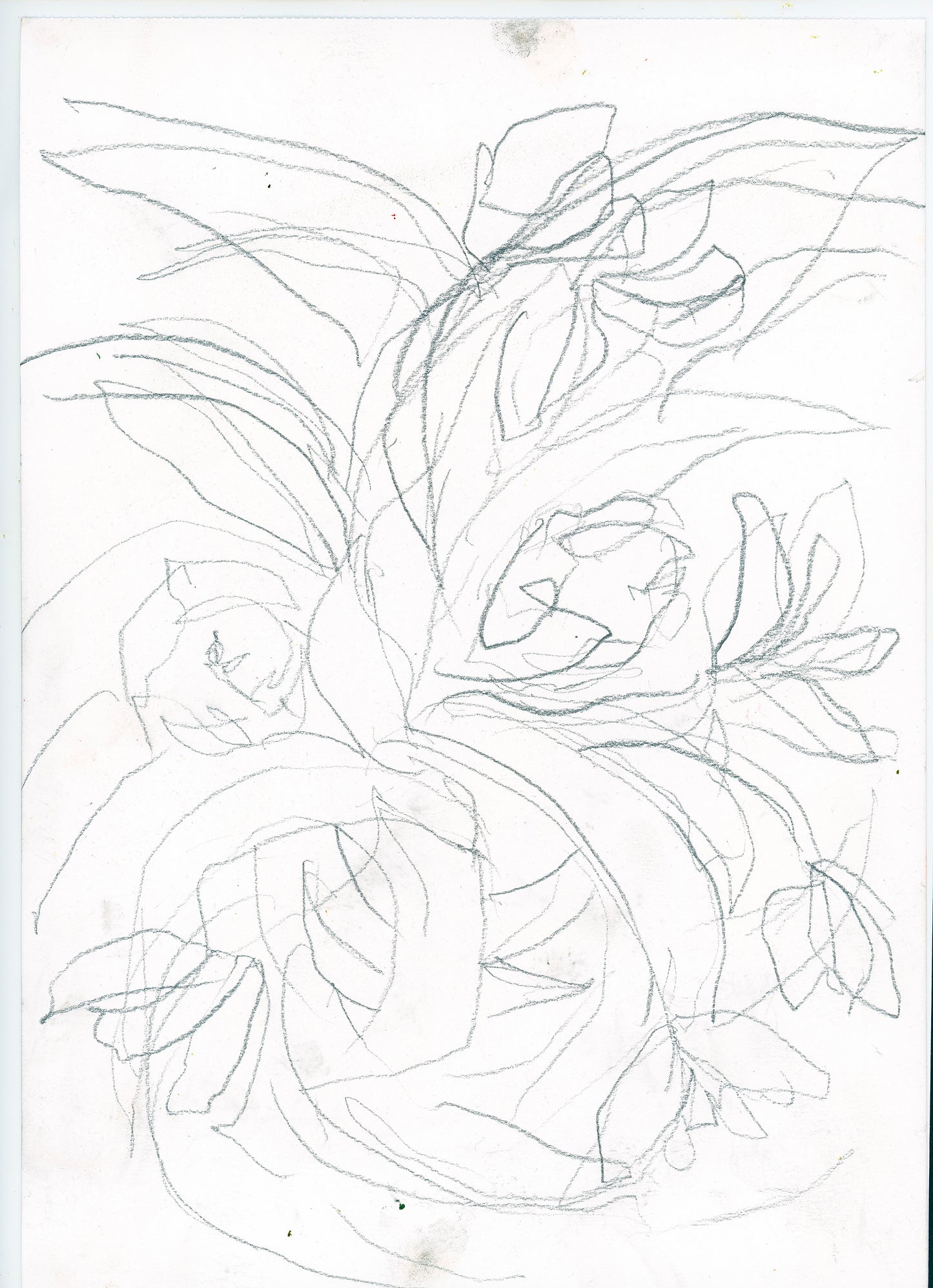 The Reminder (Study)