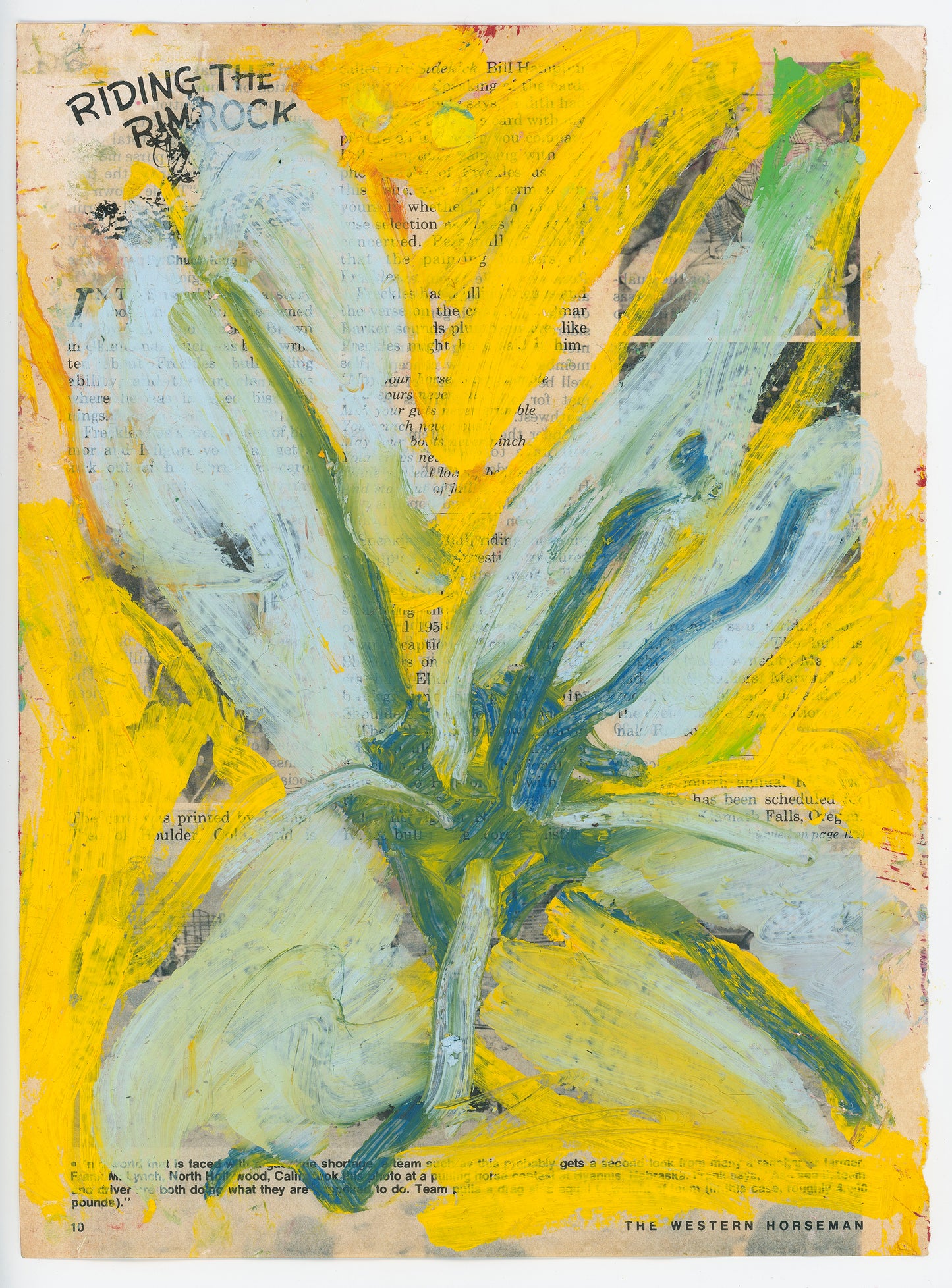 Poppies Open And Close With The Sun