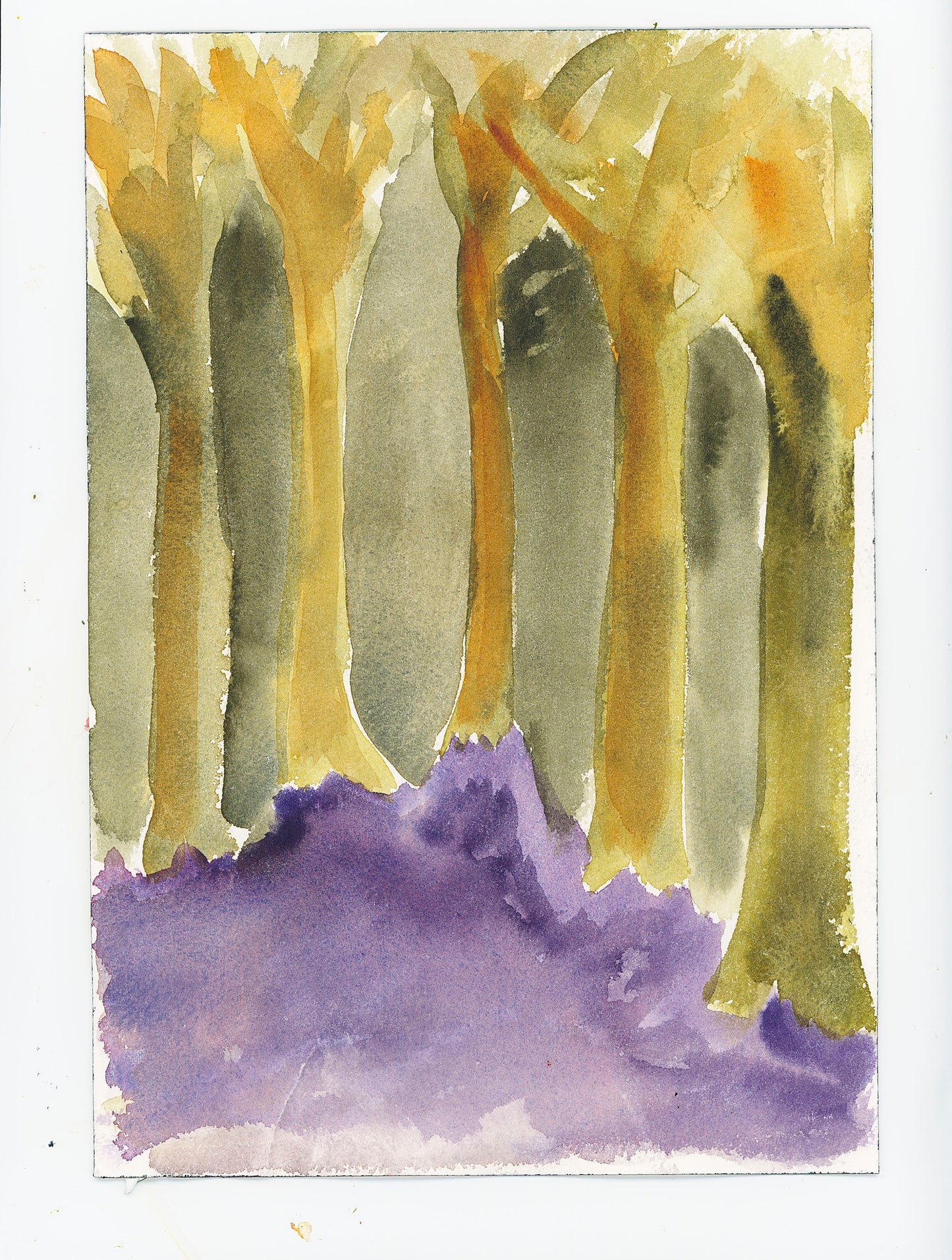 Journey Through the Dark Wood