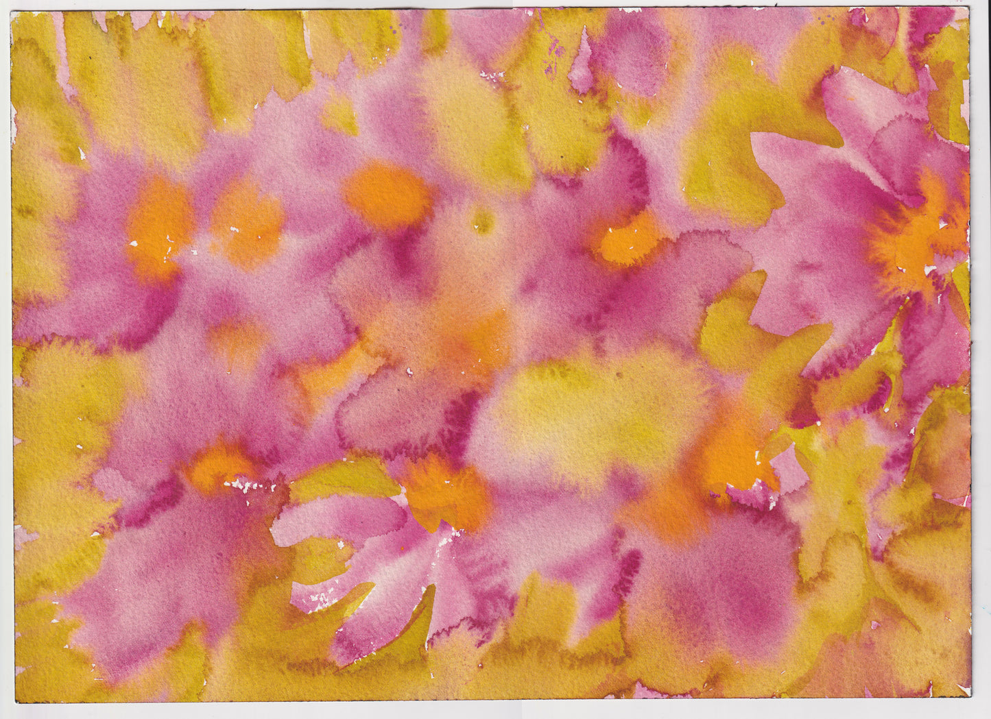 Cosmos