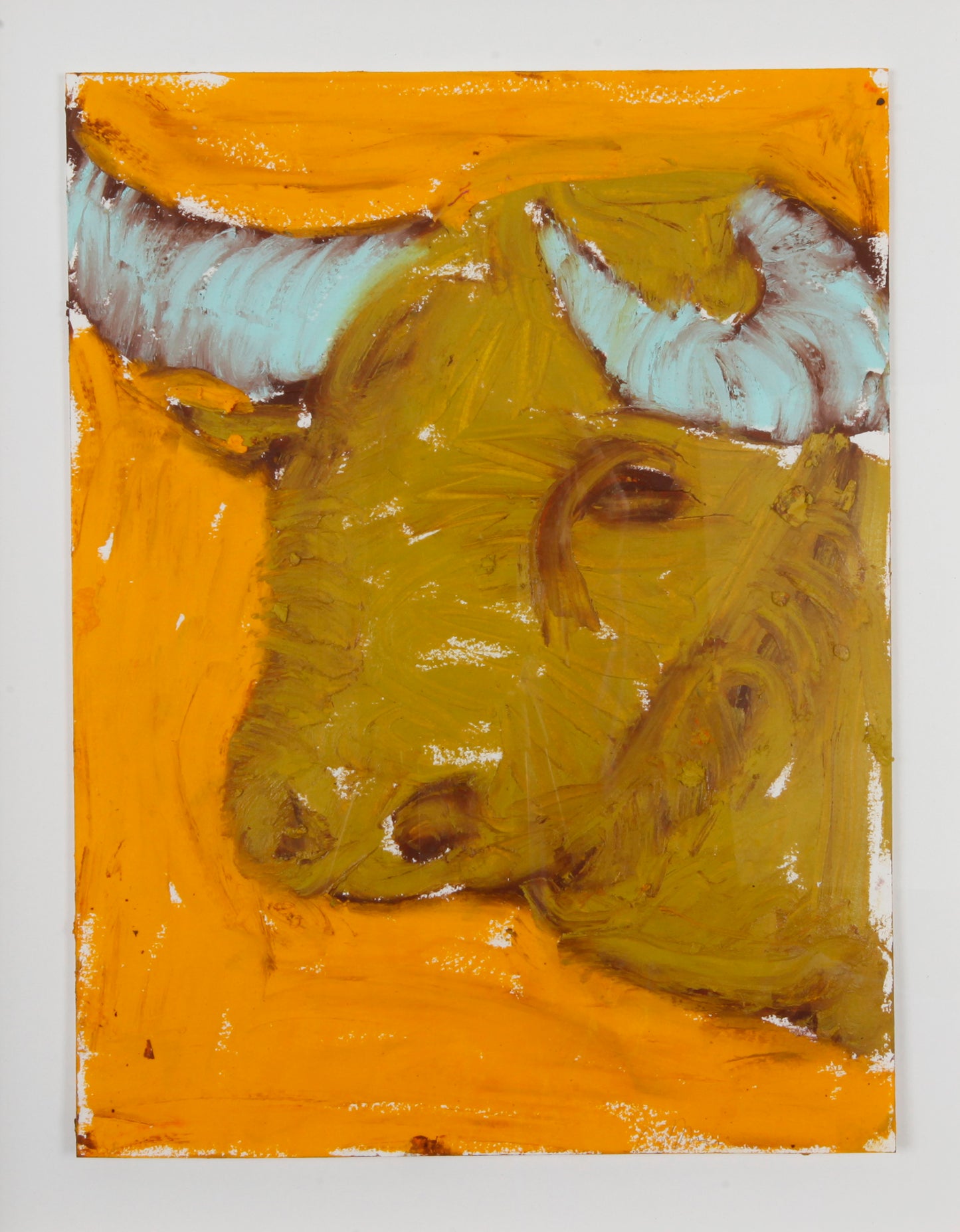 Bull in the Sunlight