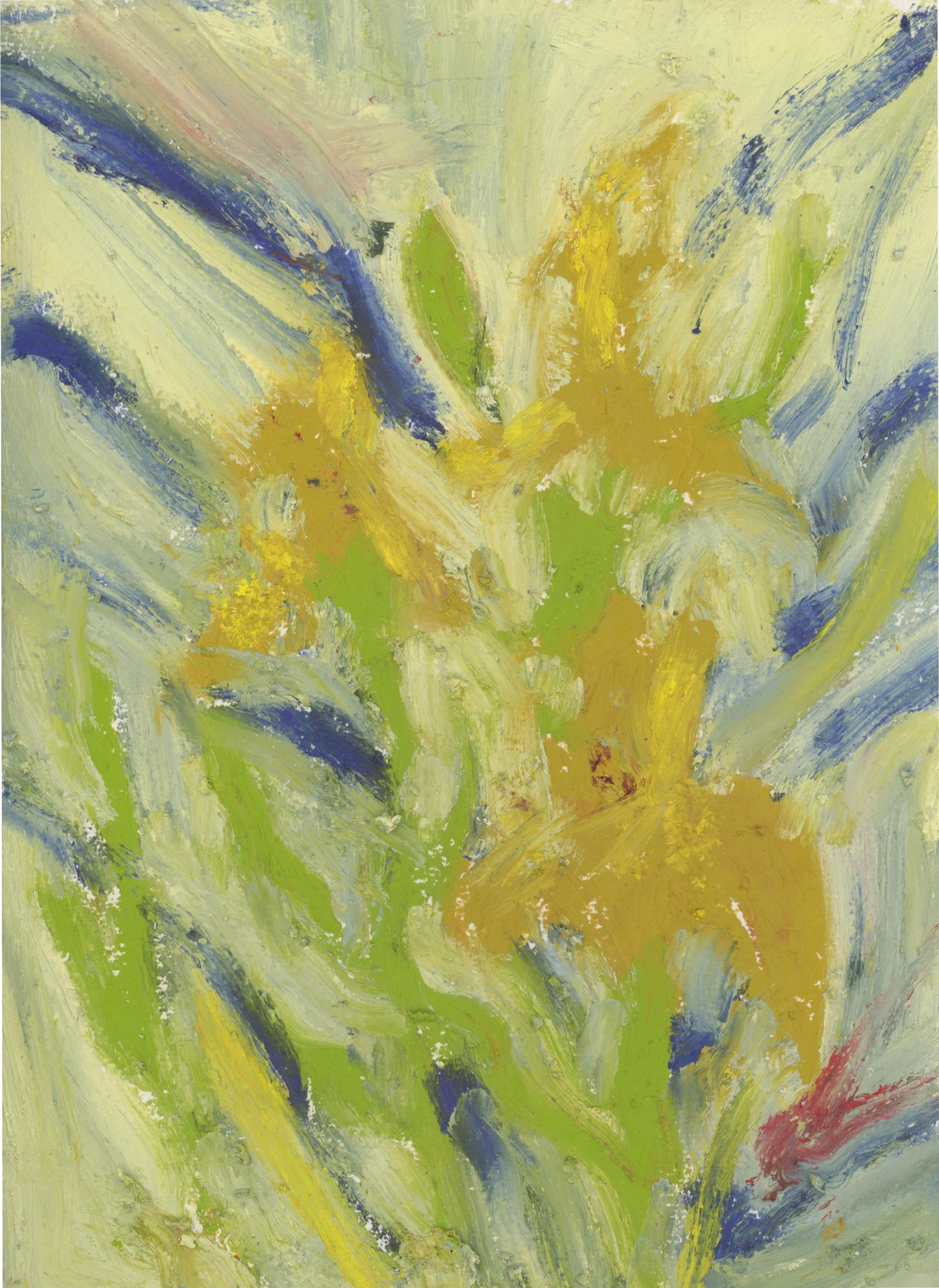 Night Lillies