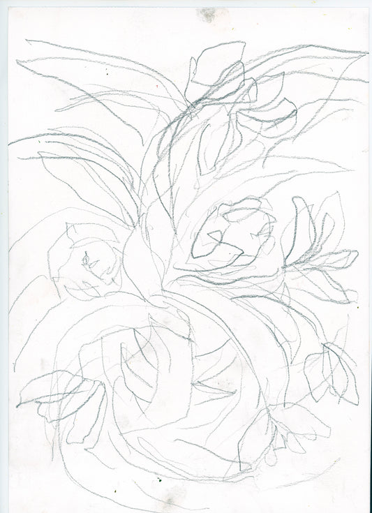 The Reminder (Study)