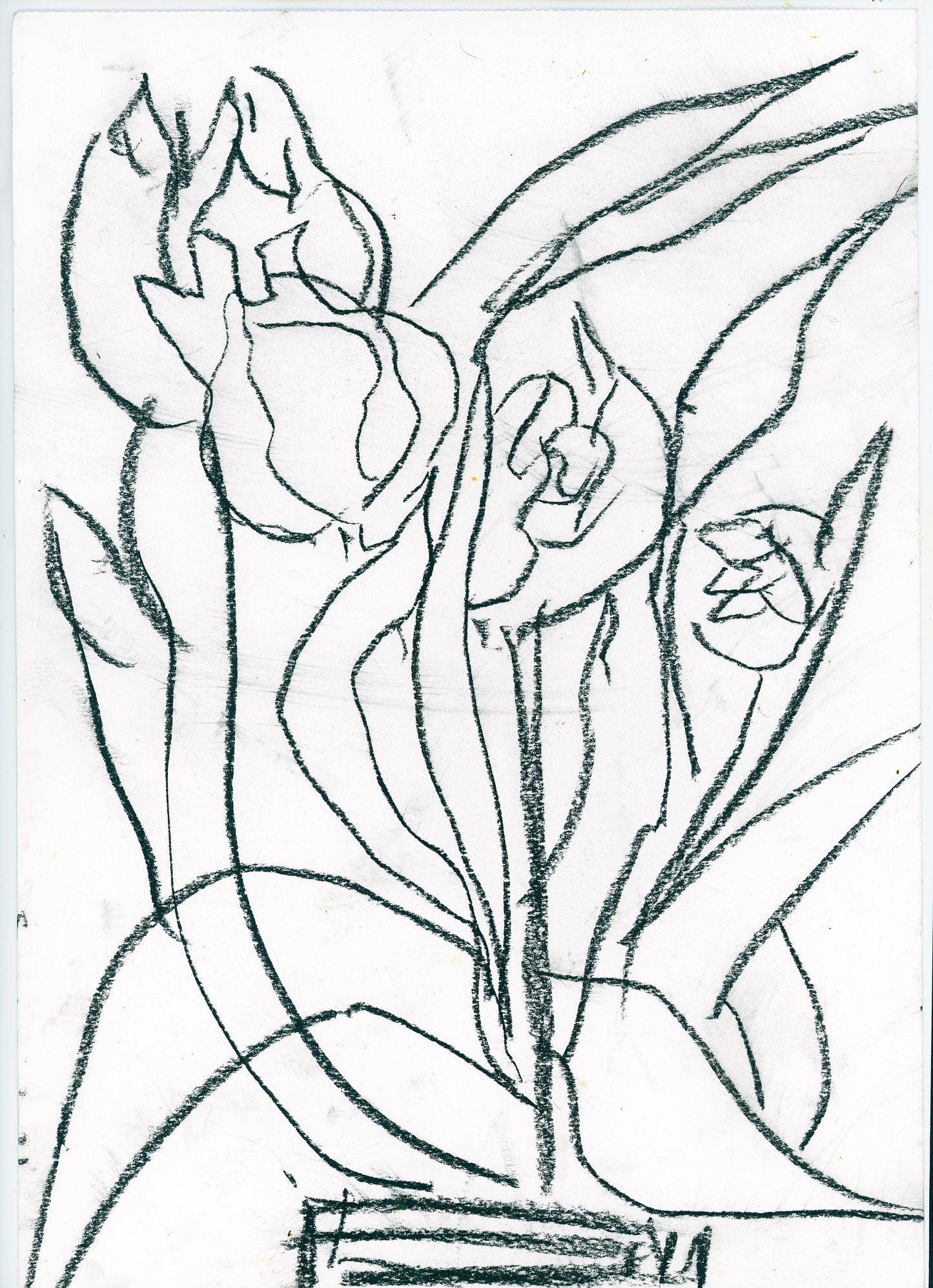 The Promises (Study)