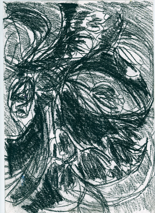 The Wild (Study)
